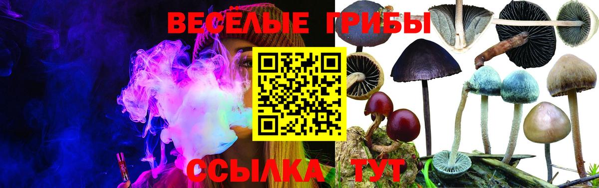 Псилоцибиновые грибы мицелий  закладка  Красный Сулин  Вход с VPN  Галлюциногенные грибы Psilocybine cubensis 